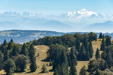 Fototapeta na wymiar Jura, Mont d'Or, vue sur le Mont Blanc