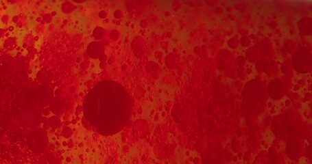 Small red blood cells in fluid