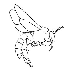 Bee wasp. Continuous one line drawing