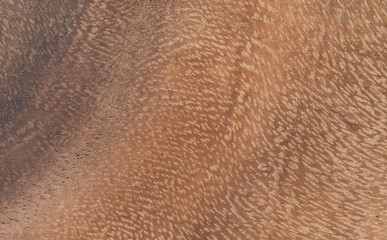 close up of wood surface for texture background