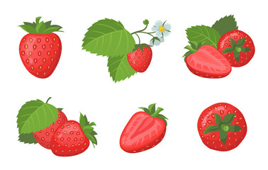 Fresh ripe strawberry set. Whole and sliced juicy red summer berries with leaves isolated on white. Vector illustration for organic food, fruit, farm market, natural product concept