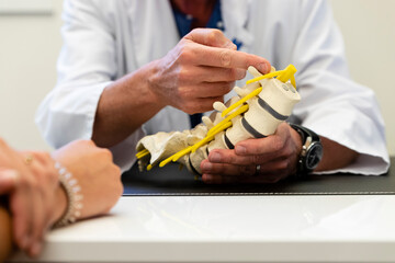 doctor shows spine to patient