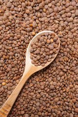 Natural organic dry brown lentils for a healthy diet. background texture. selective focus