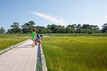 A father and child explore together along boardwalk in grassy marsh