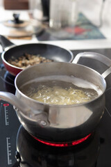 cooking homemade vegetarian food on a glass-ceramic stove mushrooms potatoes. vertical photo