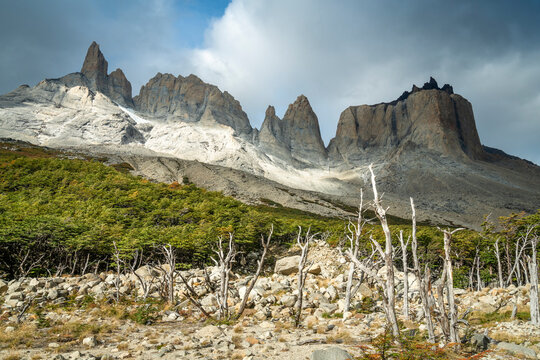 Dead trees against mountains, French Valley, Torres del Paine National Park, Patagonia, Chile