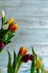 Colorful tulips with wooden background, spring flower still life