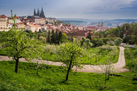 Prague castle in city against cloudy sky seen from park in spring, Prague, Bohemia, Czech Republic