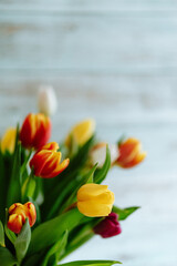 Colorful tulips with wooden background, spring flower still life
