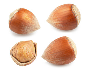 set of natural hazelnuts isolated on white