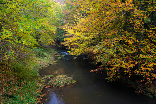 Kamenice river surrounded by colorful forest in autumn, Bohemian Switzerland National Park, Hrensko, Decin District, Usti nad Labem Region, Czech Republic