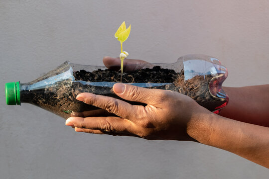 hand holding a plant pot made of plastic bottles.