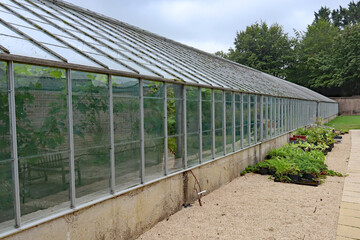 A large greenhouse in the kitchen garden of an English country house