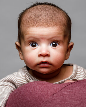 Studio portrait of a newborn baby boy looking intently at camera