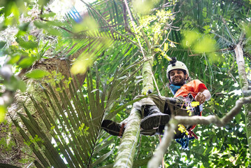 Man tree climbing on canopy top in green rainforest landscape