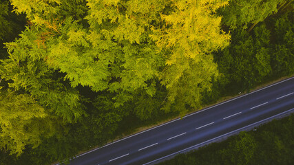 Drohnen Foto von einer Waldfläche und einer Straße