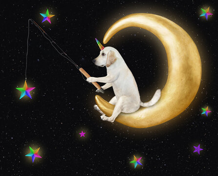 A dog unicorn is catching rainbow stars with a fishing rod on the comfortable moon.