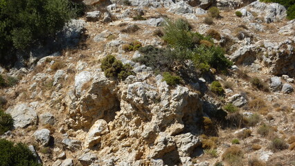 Kos_2020_073

