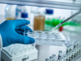Biotechnology, Scientist pipetting a sample into a multi well plate.