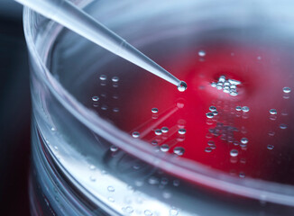 Cell Research, Pipetting sample into a petri dish of cells in the lab