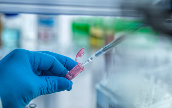 Biotechnology, Pipetting a sample into a vial during experiment in lab
