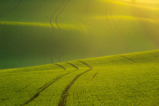 Idyllic view of rolling fields near Kyjov at sunrise, Hodonin District, South Moravian Region, Moravia, Czech Republic
