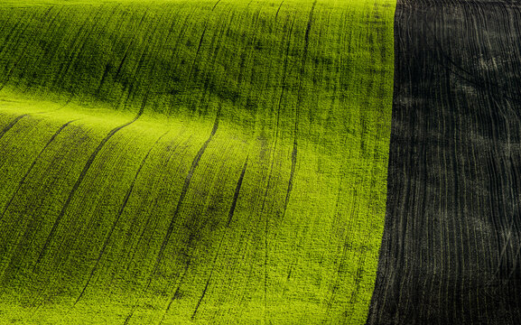 Idyllic abstract view of green rolling hills near Kyjov, Hodonin District, South Moravian Region, Moravia, Czech Republic