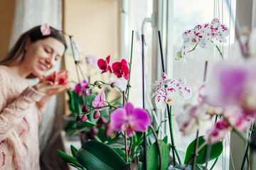 Young woman smelling blooming orchids on window sill. Housewife taking care of home plants and...