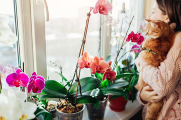 Woman holding cat and enjoying blooming orchids on window sill. Gardener taking care of home plants...