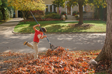 a boy enthusiastically rakes leaves on a warm autumn day outside