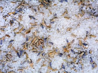 Cosmetic salt crystals with lavender seeds background or pattern