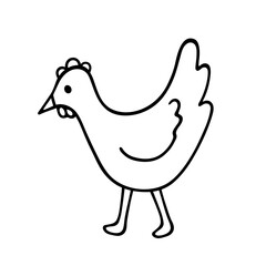 Vector drawing of a walking hen in the doodle style. Isolated element on a white background. Contour.