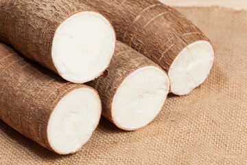 Manihot esculenta (Yuca, manioc, guacamota) Cassava raw tuber.