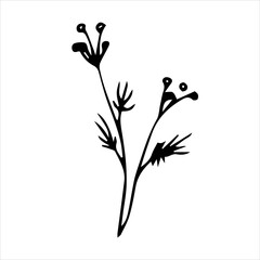 Spring twig with leaves, floral vector object in doodle style, flowers hand draw, isolate on a white background.