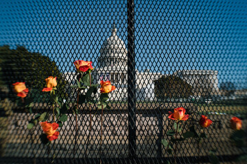 Flowers on fence protecting US Capitol after Jan 6 Riot