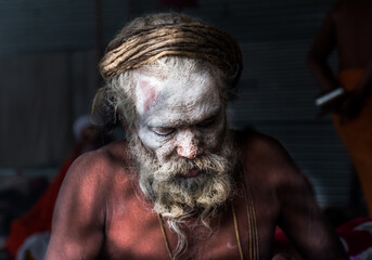 Indian Monk (Naga Sadhu baba) at Holy Ardh Kumbh Mela, in Allahabad (Prayagraj), Uttar Pradesh,...
