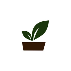 Vector illustration of plant in a pot