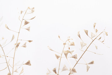Branches shepherd's bag dry flowers beige romantic wedding horizontal theme macro