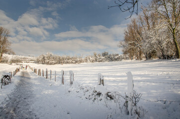 Schöne Schneelandschaft im Sonnenschein und blauen Himmel