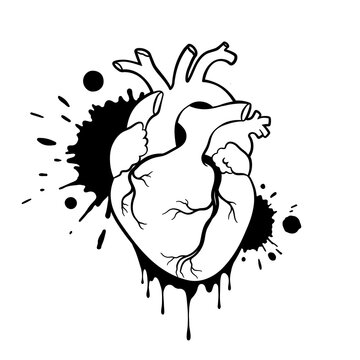 Grunge human heart. Anatomical realistic dripping heart, line art, vector illustration