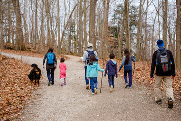An extended family hike with a dog on a gravel path through the woods