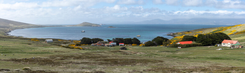 Fototapeta na wymiar View from Carcas Island, Falkland Islands.