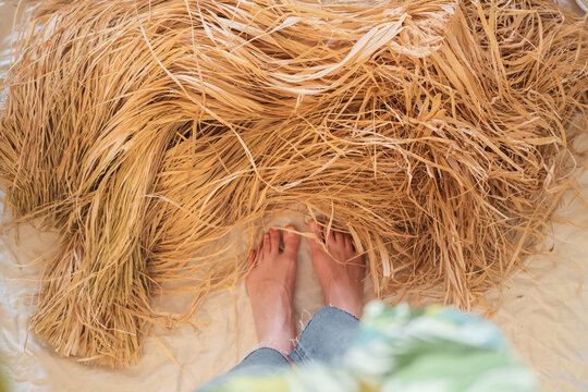 Female feet and natural palm raffia, top view.