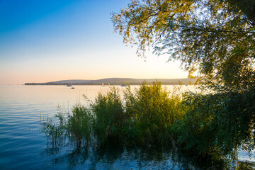 Fototapeta na wymiar Natural beach of the lake Balaton in Hungary