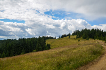 Mountain tops with forests on green grassy slopes with blue sky and clouds above. Gorgeous view on...