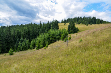 Fototapeta na wymiar Mountain tops with forests on green grassy slopes with blue sky and clouds above. Gorgeous view on Carpathian valley 
