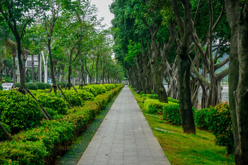 Walking path through Xiamen city garden
