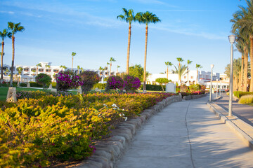 rest in egypt on the beach, sea