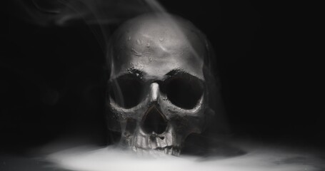 Black skull in the darkness with smoke and fog