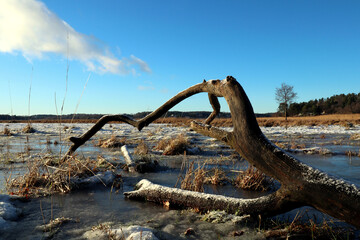 Fototapeta premium Landscape photo with one single fallen tree in the middle. Multicolored sky with plenty of clouds. Snow and ice on the meadow. During the winter at a Swedish countryside. Järfälla, Stockholm, Sweden.